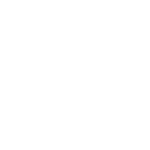 Security Icon